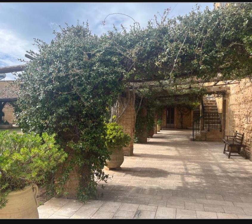 Masseria Sotto Le Stelle Provenzani 카살라바테 외부 사진